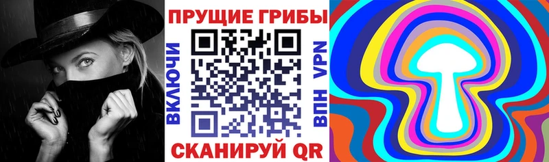 Псилоцибиновые грибы Psilocybine cubensis  Пугачёв 